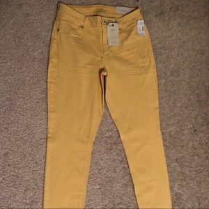 Maurice’s NWT Jeggings